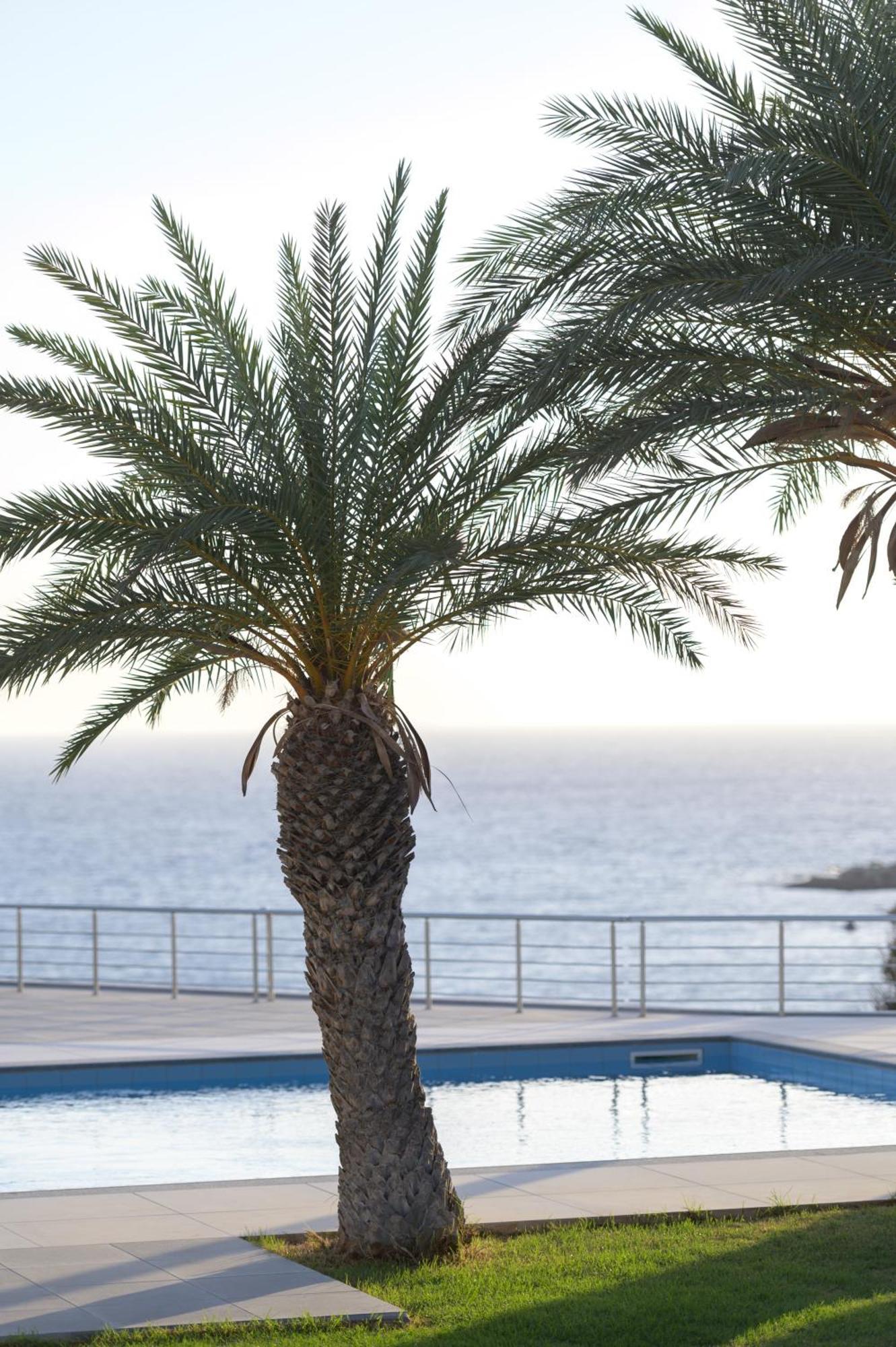 Porto Belissario Hotel Ferma Buitenkant foto